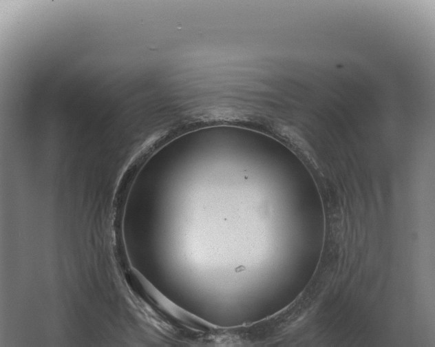 X0000068300395200604281715