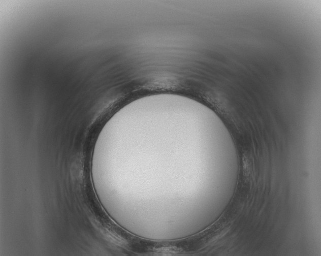 X0000068300396200604281715