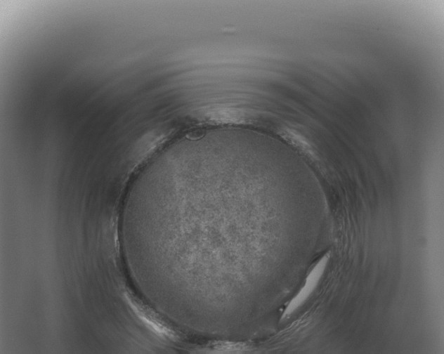 X0000068300398200604281715