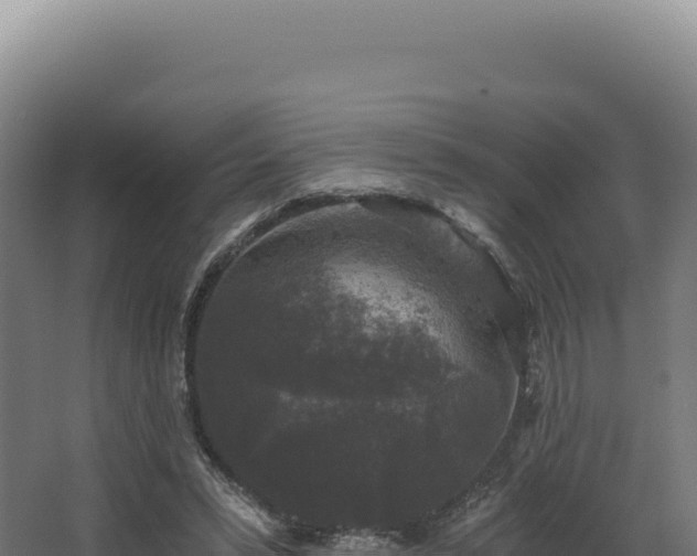 X0000068300399200604281715