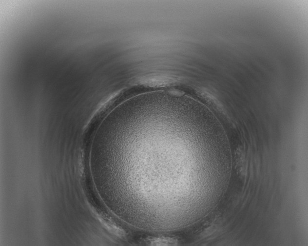 X0000068300400200604281715