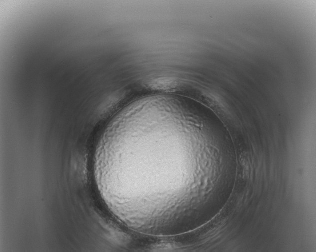 X0000068300404200604281715