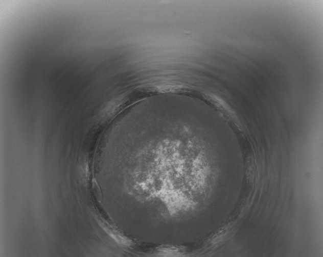 X0000068300405200604281715