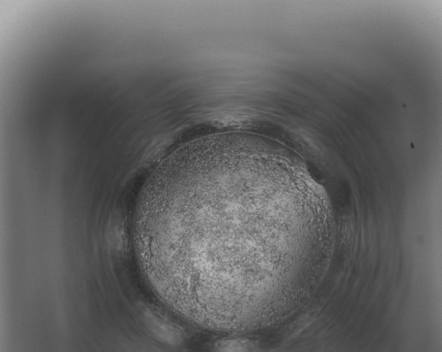 X0000068300408200604281715