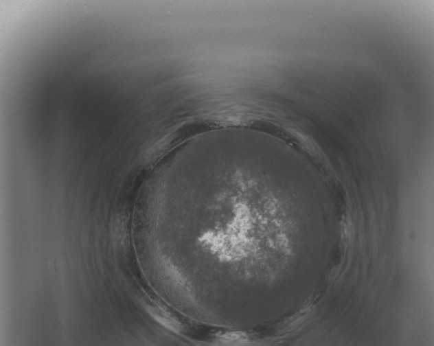 X0000068300409200604281715