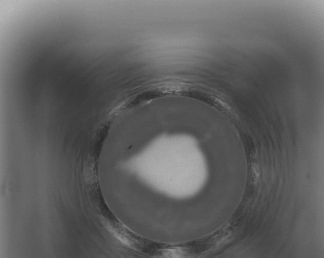 X0000068300411200604281714