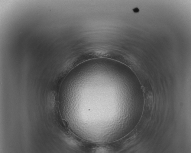 X0000068300412200604281714