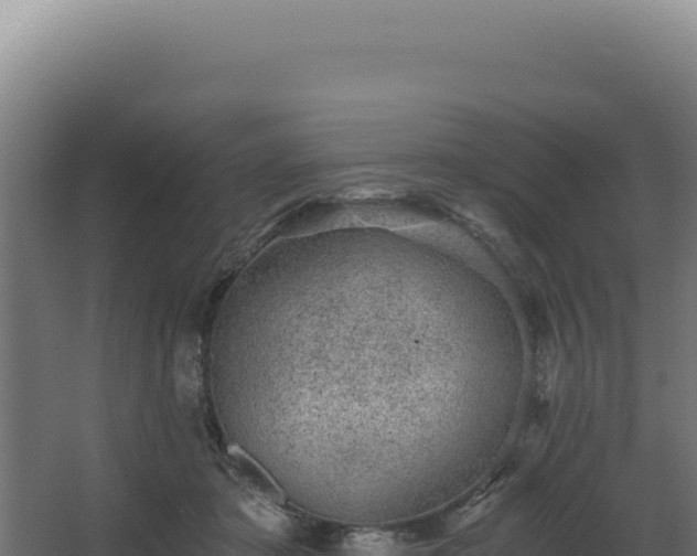 X0000068300413200604281714