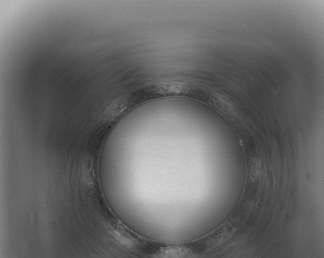 X0000068300414200604281714