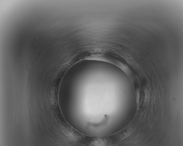 X0000068300416200604281714