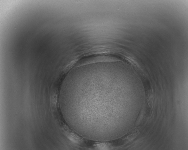 X0000068300417200604281714