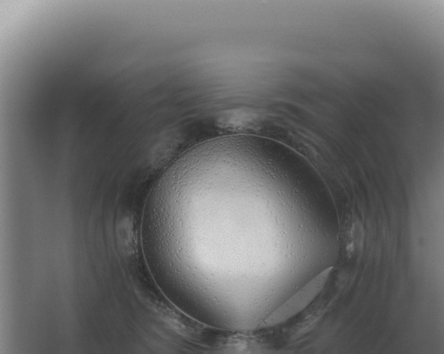 X0000068300420200604281714