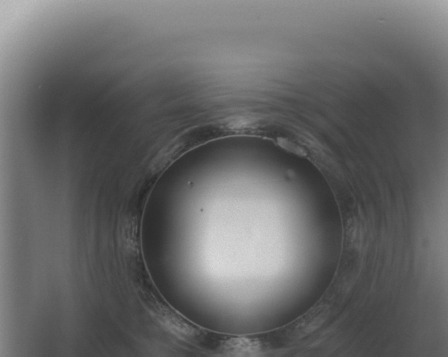 X0000068300421200604281714