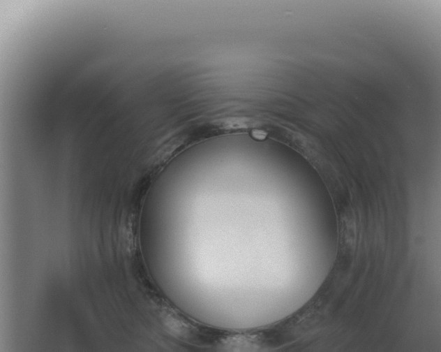 X0000068300422200604281714