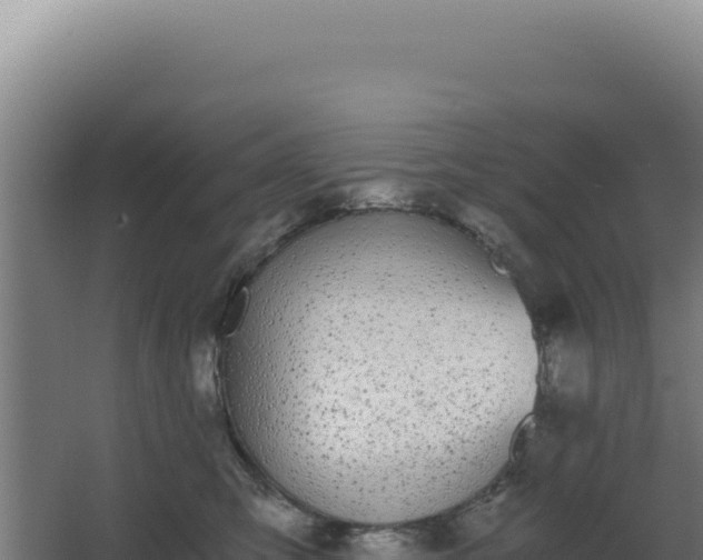 X0000068300423200604281714