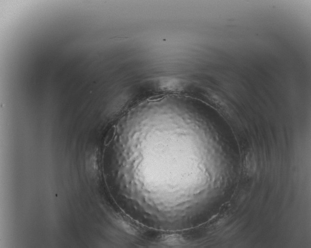 X0000068300424200604281714