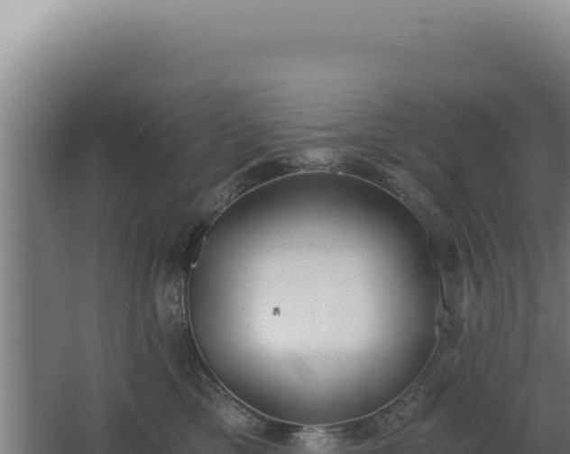 X0000068300425200604281714