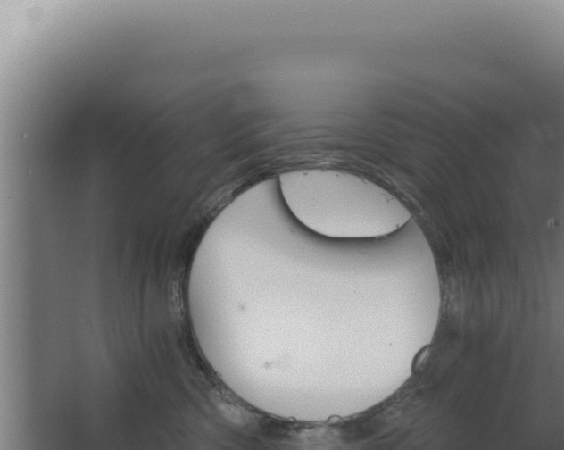 X0000068300426200604281714