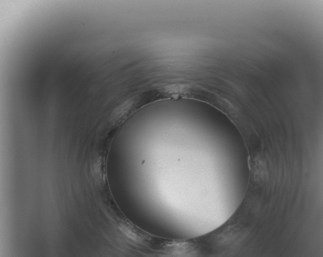 X0000068300428200604281714