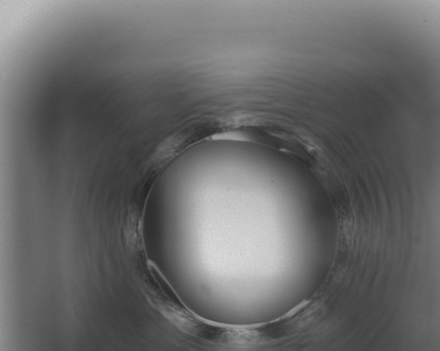 X0000068300429200604281714