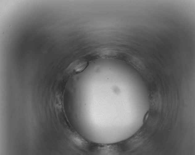 X0000068300430200604281714