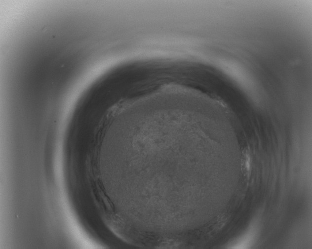 X0000068300431200604281714