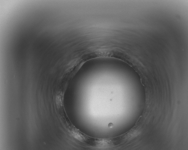 X0000068300432200604281714