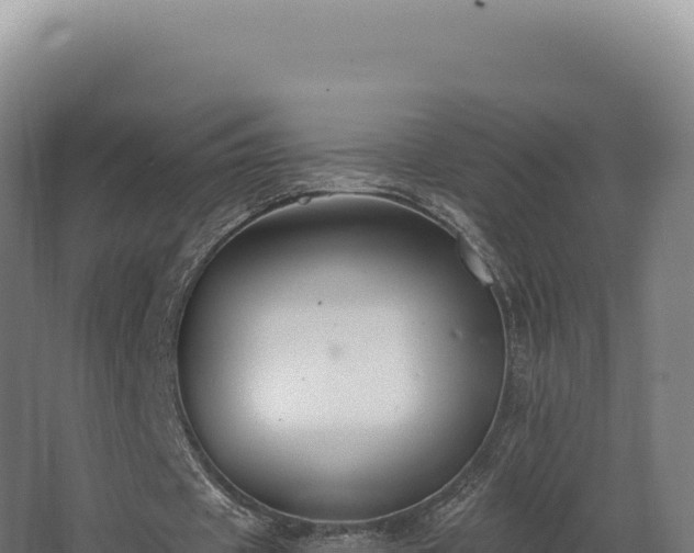 X0000068300433200604281713