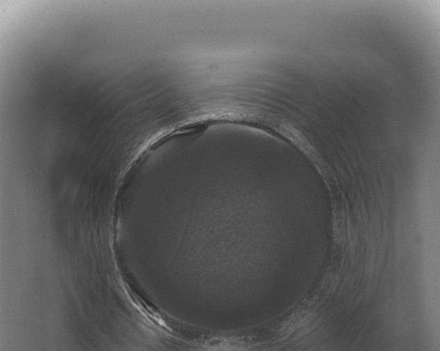 X0000068300434200604281713