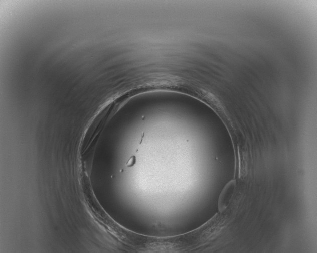 X0000068300435200604281713