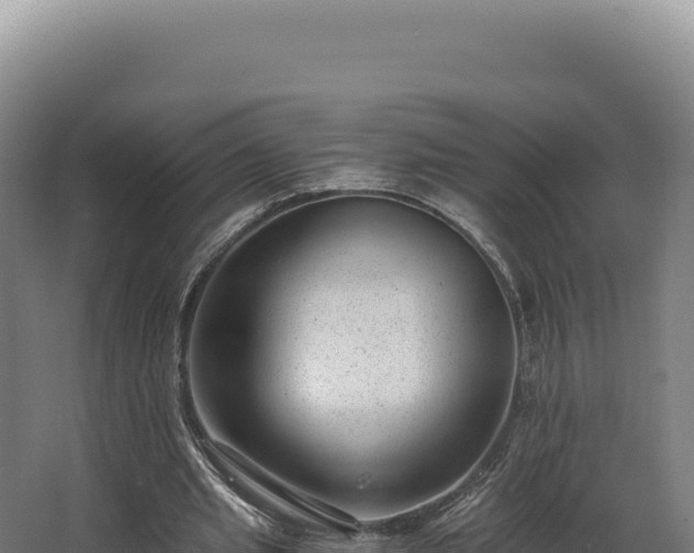 X0000068300437200604281713