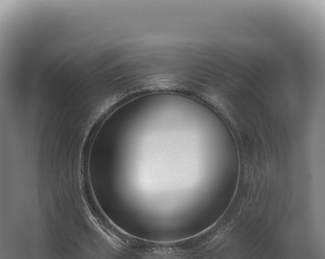 X0000068300439200604281713