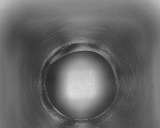 X0000068300440200604281713