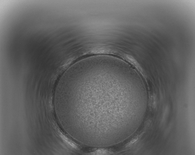 X0000068300441200604281713