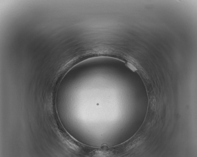 X0000068300442200604281713