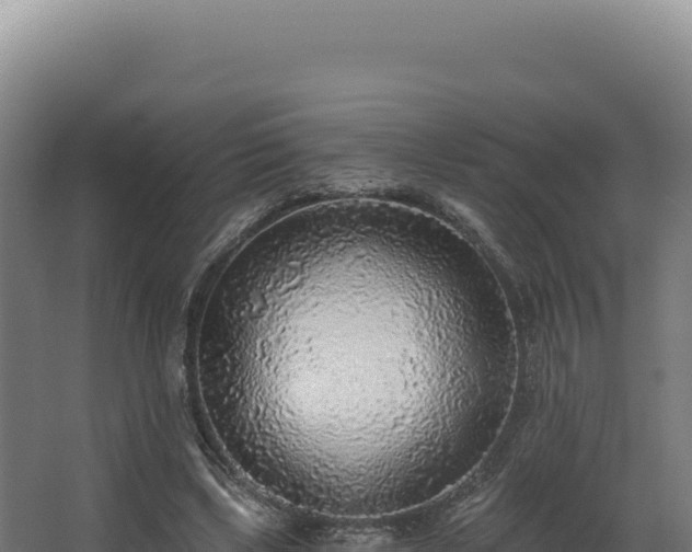 X0000068300443200604281713