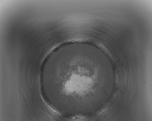 X0000068300444200604281714