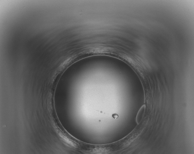 X0000068300445200604281714