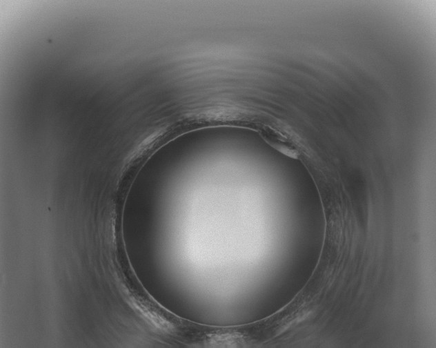 X0000068300446200604281714