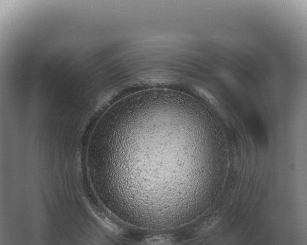 X0000068300447200604281714