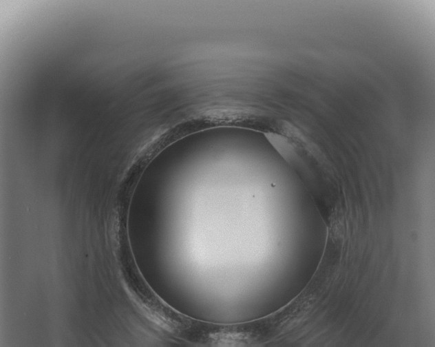 X0000068300448200604281714