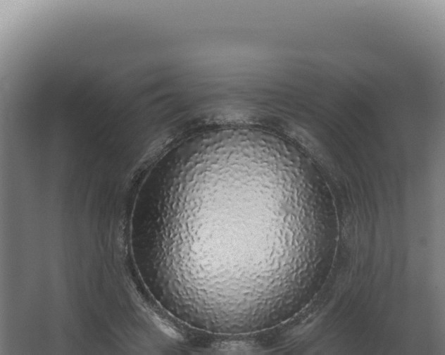 X0000068300449200604281714