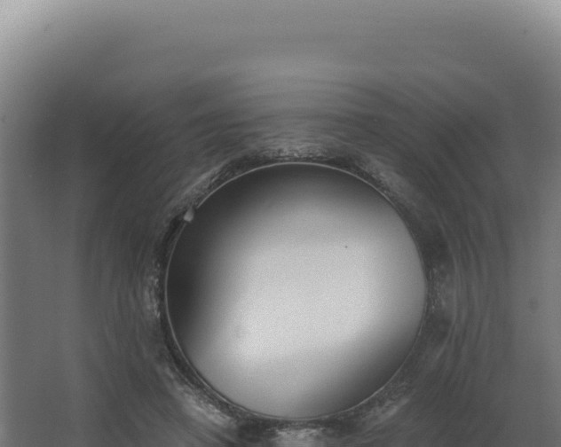 X0000068300450200604281714