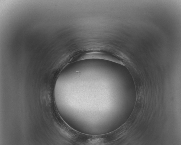 X0000068300452200604281714