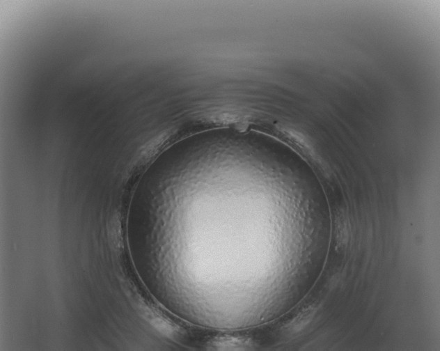 X0000068300453200604281714