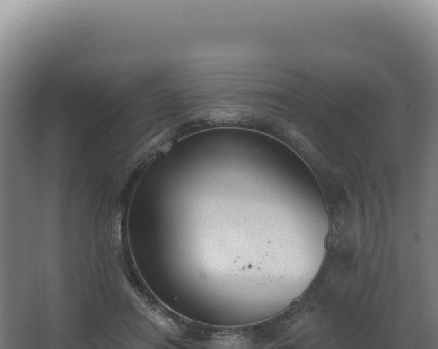 X0000068300454200604281714