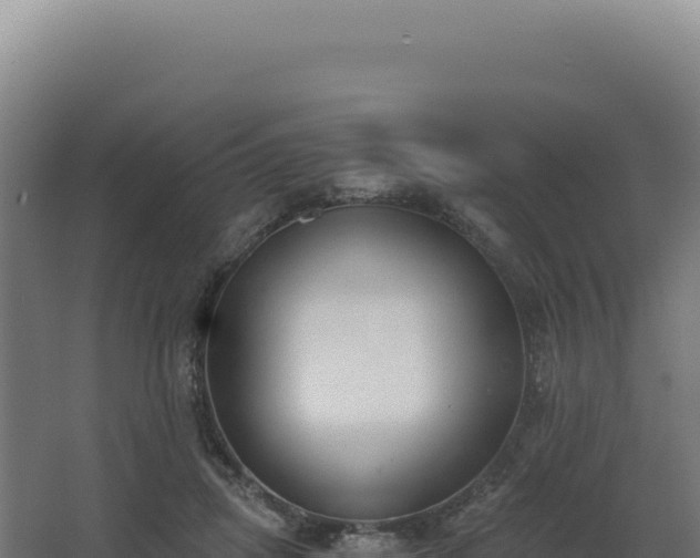 X0000068300455200604281714