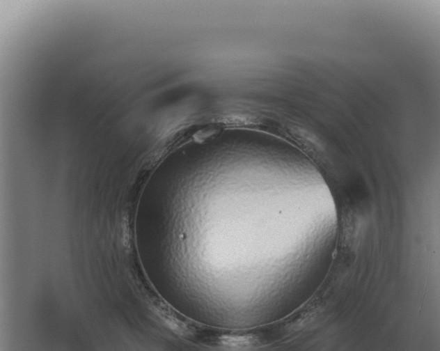 X0000068300457200604281714