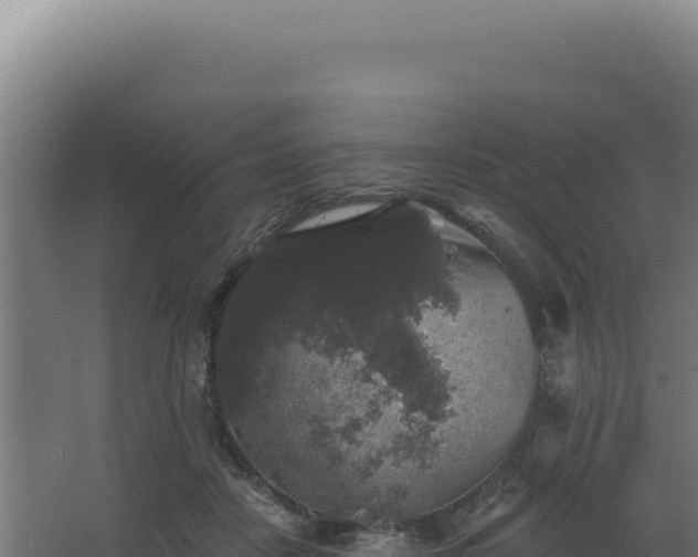 X0000068300458200604281714