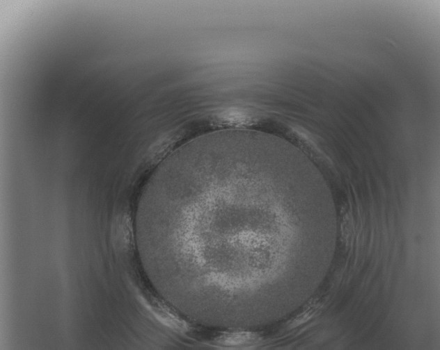 X0000068300459200604281714